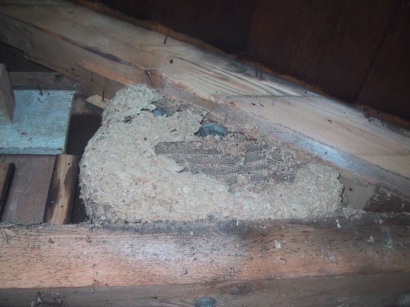 20070608_083047-IMG_0003