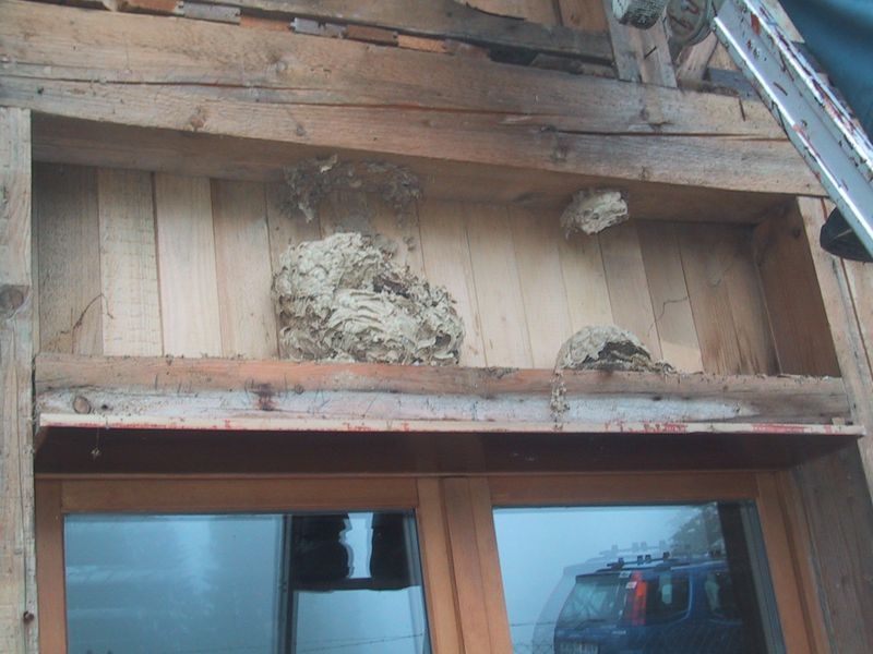 20070608_083124-IMG_0004