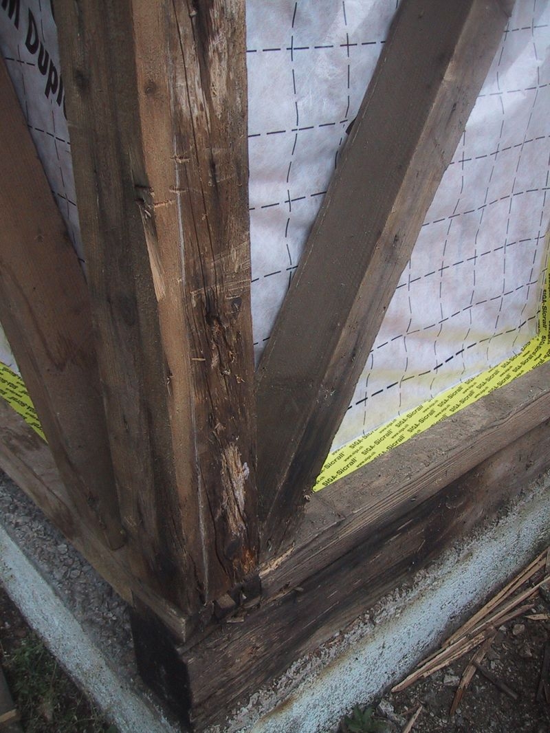 20070608_121347-IMG_0016