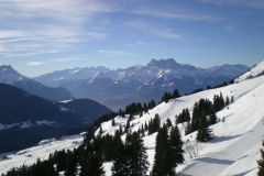 DSCN1410