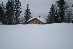 DSCN2774