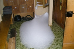 DSCN2785