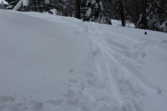 DSCN3654