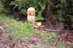 Echelett 06.06.2009 (0)