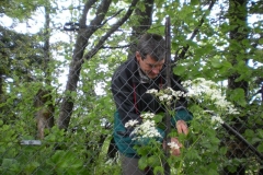 Echelett 06.06.2009 (17)