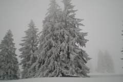 DSCN4856