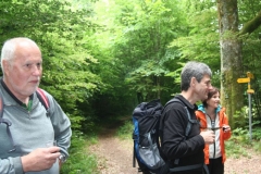 Photo 015