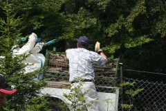 Photo 015
