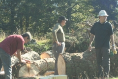 Photo 010