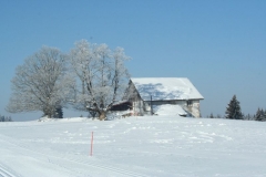 Photo 010