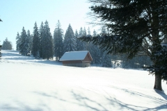 Photo 028