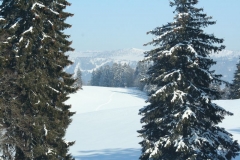 Photo 030