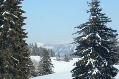 Photo 032