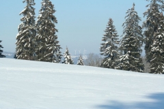 Photo 035