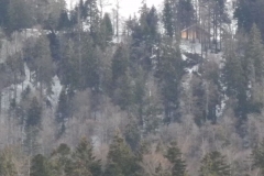 DSCN6018
