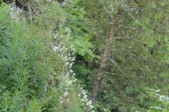 DSC09647