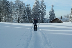Photo 017