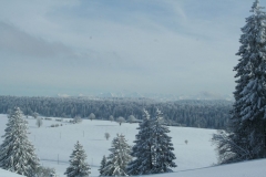 Photo 019