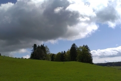 IMAG2596