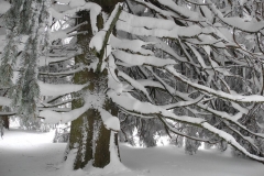 20150208_105135_DSCN3446