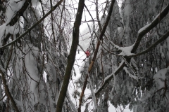 20150208_105143_DSCN3447