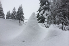 20150208_111904