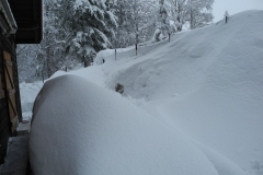 20150208_111937_DSCN3450