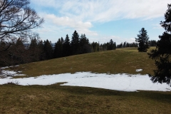 20150412_114111