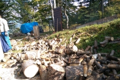 20150926_113039_IMAG1014