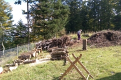 20150926_113200_IMAG1018