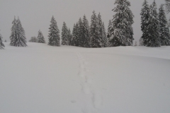 20160220_112054