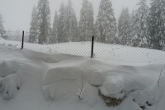 20160220_125922