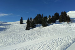 IMG_20180127_095516