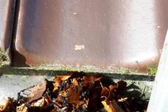 IMG-20180922-WA0008