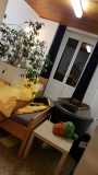 IMG-20200127-WA0024