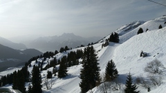 IMG_20200125_110958