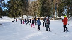 IMG-20200209-110203