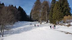 IMG-20200209-110304