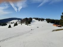 IMG-20200209-112303
