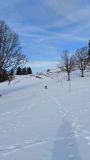 IMG_20200208_091505