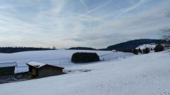 IMG_20200208_091508