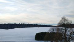 IMG_20200208_091736