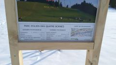 IMG_20200208_092638