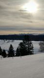 IMG_20200208_092750