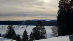 IMG_20200208_092753