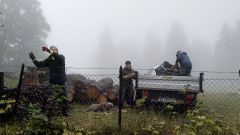 IMG_20201010_101314