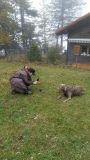 IMG_20201010_112044