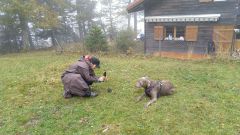 IMG_20201010_112046