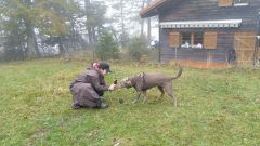 IMG_20201010_112048