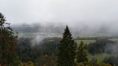 IMG_20201010_121342